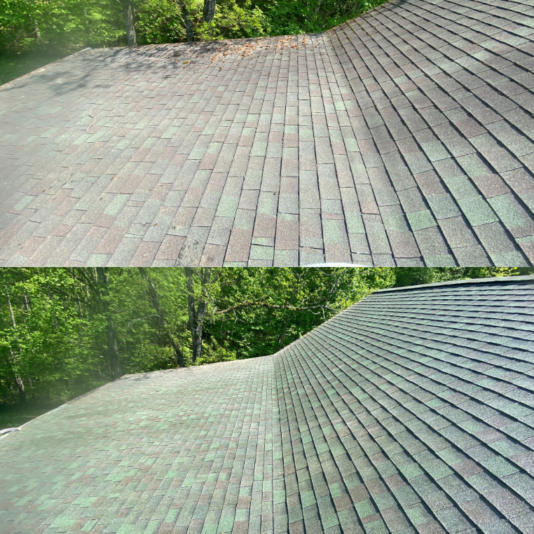 House Washing and Roof Cleaning in Sylva, NC
